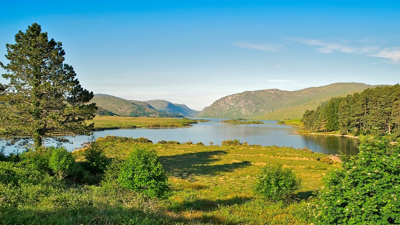 Letterkenny Downtown