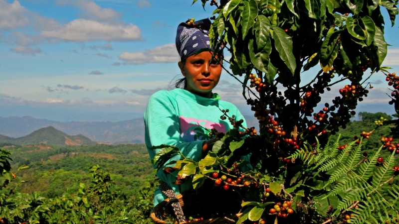 Internacional de El Salvador