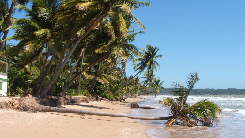 San Fernando Downtown