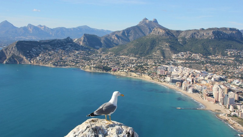 Alicante Railway Station