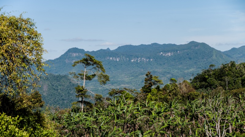 Penas Blancas Nicaragua