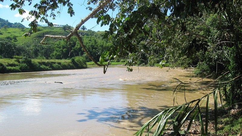 Peñas Blancas Downtown