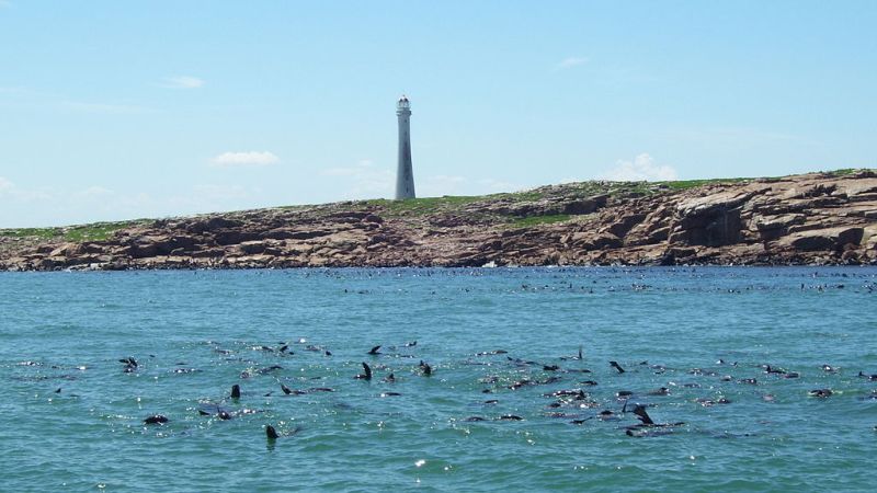 Punta Del Este Airport