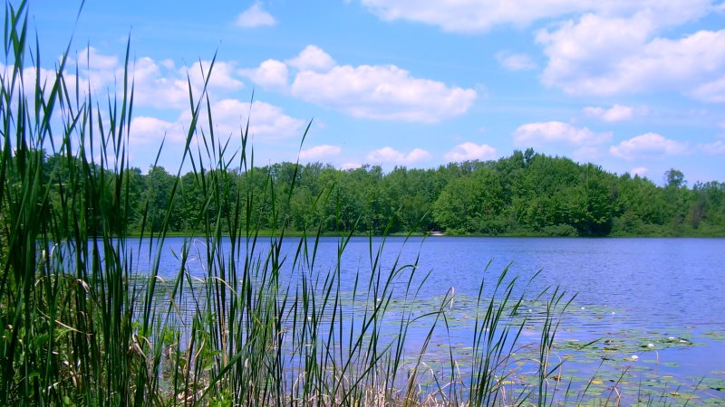 Traverse City Airport